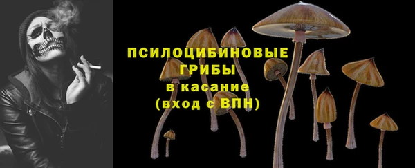 трава Зерноград