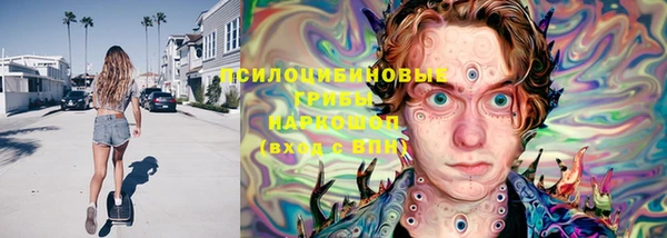 трава Зерноград